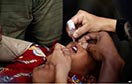 Polio Cases Reach 13  in Afghanistan in 2016